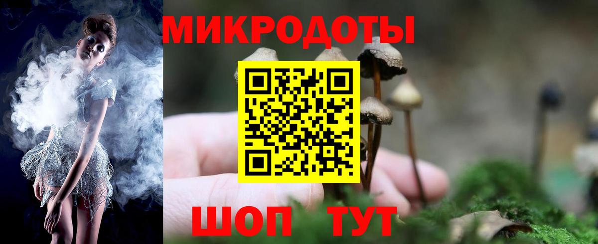 Псилоцибиновые грибы Psilocybe Ярославль